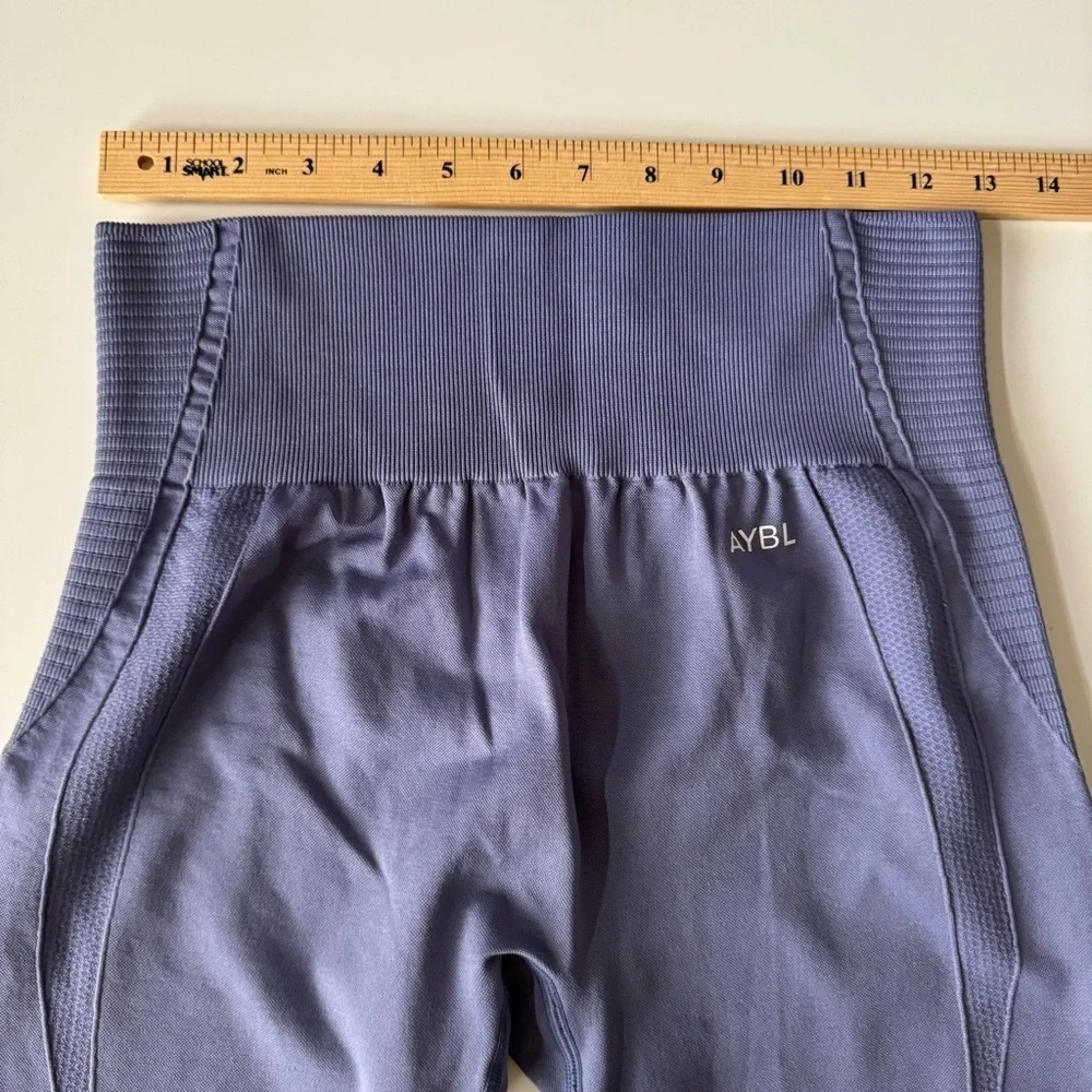 AYBL Balance V3 Seamless Leggings Mauve Women’s size large